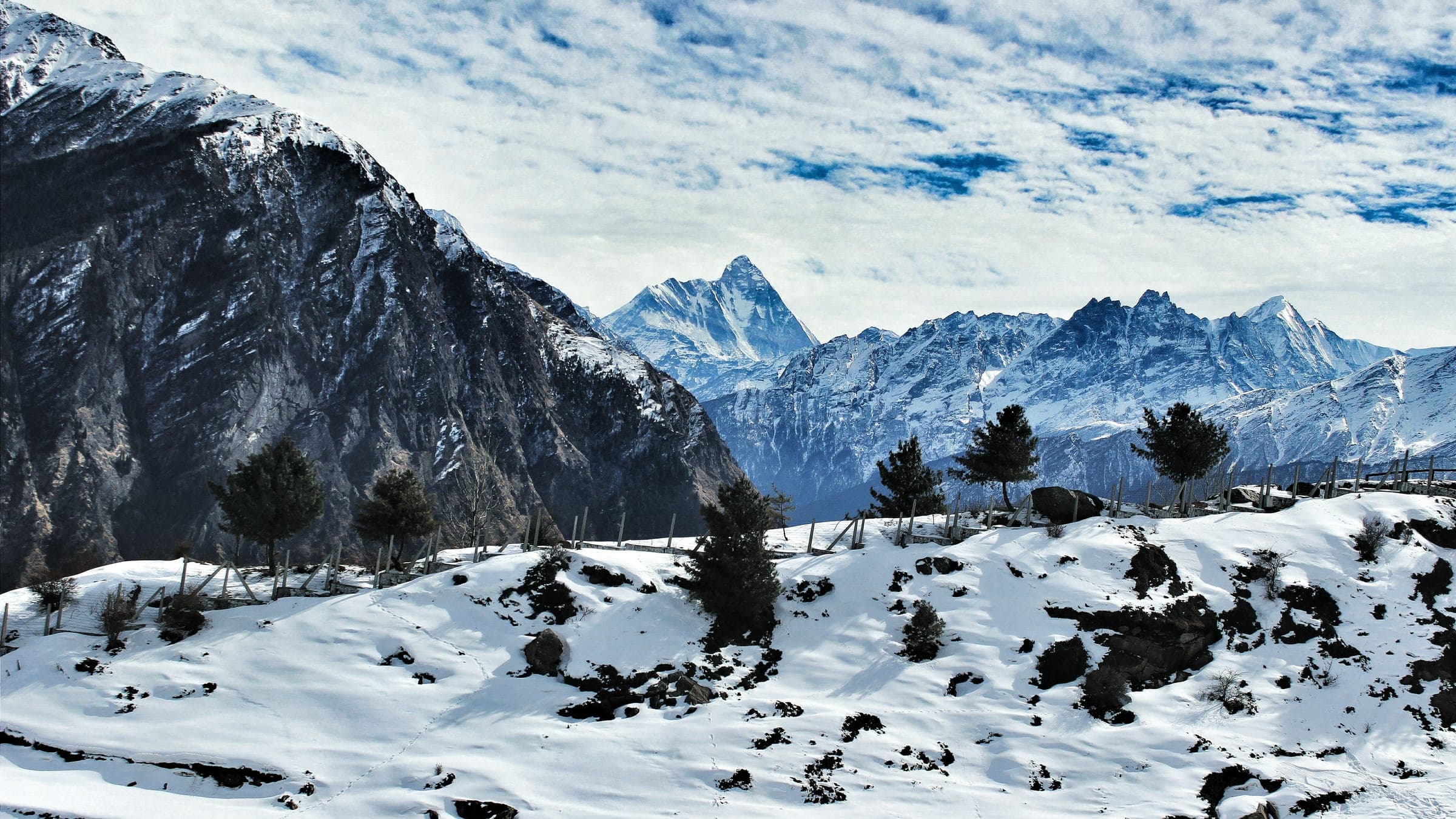 Snowfields and pines at Auli beneath jagged Himalayan peaks